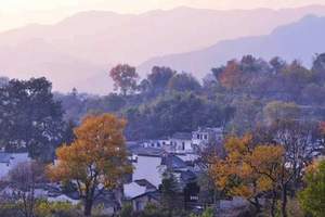 黄山、婺源纯玩二日游/黄山当地参团/黄山推荐旅游景点/当季热