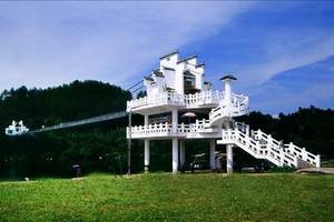 黄山开会_策划内容