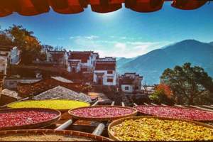 黄山、婺源篁岭纯玩3日游/深度畅游黄山/尽情体验皖南古居/荐