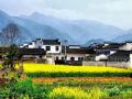 龙池湾